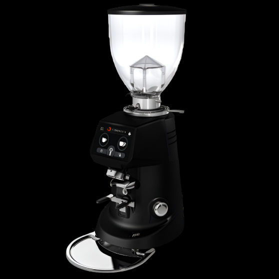 Fiorenzato F64 E - Coffee Grinder